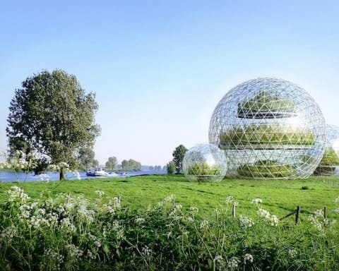green living
